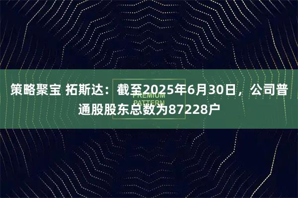 策略聚宝 拓斯达：截至2025年6月30日，公司普通股股东总数为87228户