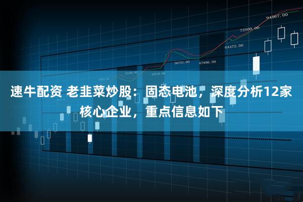 速牛配资 老韭菜炒股：固态电池，深度分析12家核心企业，重点信息如下