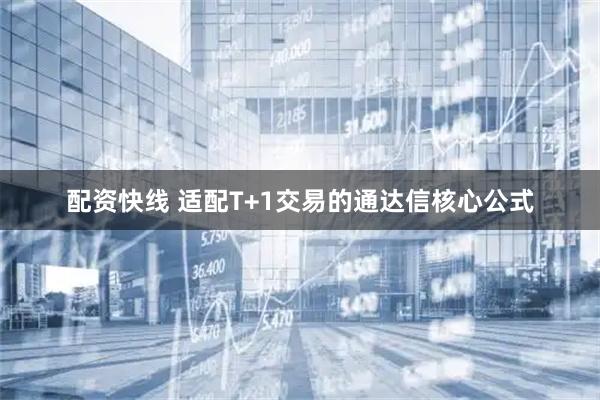 配资快线 适配T+1交易的通达信核心公式