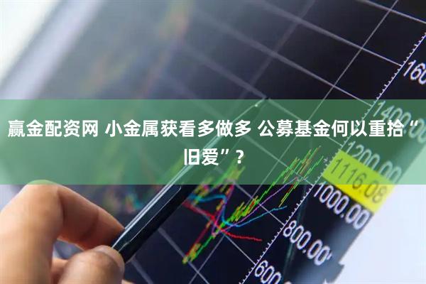 赢金配资网 小金属获看多做多 公募基金何以重拾“旧爱”？